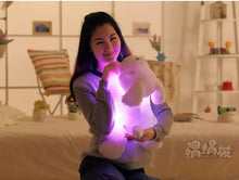 Cargar imagen en el visor de la galería, Perro Peluche luminoso colores 40 cm colorido con luz LED para niños, muñecos con relleno de animales con luz LED, diseño de perro disponible, almohada de juguete, cojín para niños, perfecto para decoración de habitación infantil MOD 40CM
