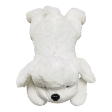 Cargar imagen en el visor de la galería, Perro Peluche luminoso colores 40 cm colorido con luz LED para niños, muñecos con relleno de animales con luz LED, diseño de perro disponible, almohada de juguete, cojín para niños, perfecto para decoración de habitación infantil MOD 40CM
