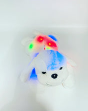 Cargar imagen en el visor de la galería, Perro Peluche luminoso colores 40 cm colorido con luz LED para niños, muñecos con relleno de animales con luz LED, diseño de perro disponible, almohada de juguete, cojín para niños, perfecto para decoración de habitación infantil MOD 40CM