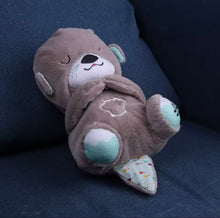 Cargar imagen en el visor de la galería, Juguete nutria respiratoria  peluche de nutria marina Kawaii, animales de peluche suaves, muñecas de nutria de colores, muñeca de apaciguar para bebés MOD ZE-2835
