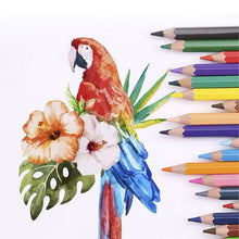 Cargar imagen en el visor de la galería, Lápiz de colores de calidad para estudiantes, herramienta de pintura duradera, papelería de dibujo, lápices de colores, juguetes de dibujo para niños, 12 colores
