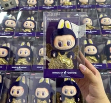 Cargar imagen en el visor de la galería, Jueguete de Labubu especial caja vestimenta
