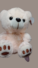 Cargar imagen en el visor de la galería, Oso de 23 cm teddy  surtido diseños MOD SB0201
