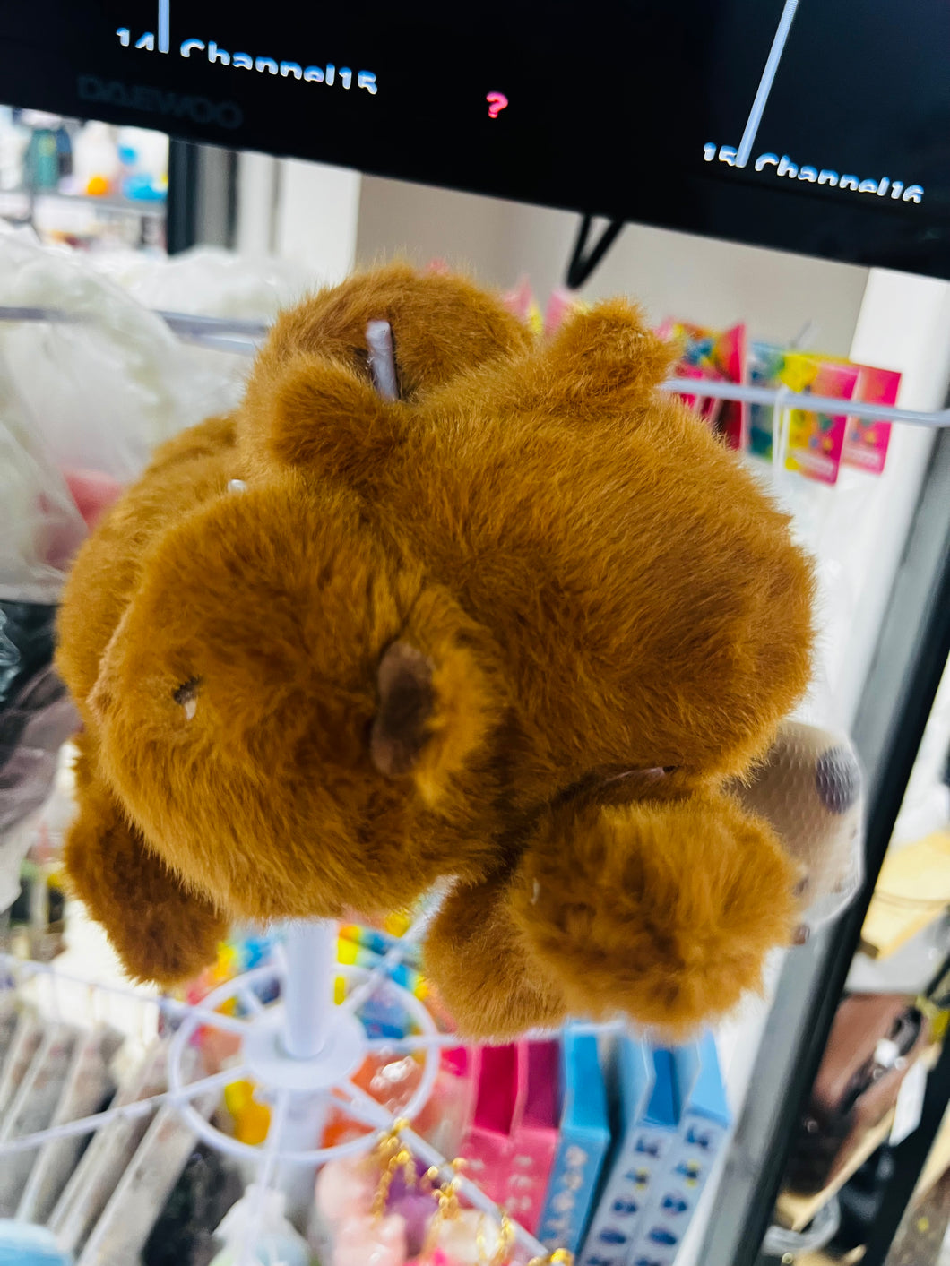 Capybara mano alitas
