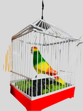 Cargar imagen en el visor de la galería, Jaula de juguete eléctrica controlada por voz, pájaro simulado controlado por voz biomimética creativa nueva y única actividad de entretenimiento MOD MS9683F
