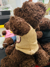 Cargar imagen en el visor de la galería, Peluche de oso 30 cm se manda surtido

