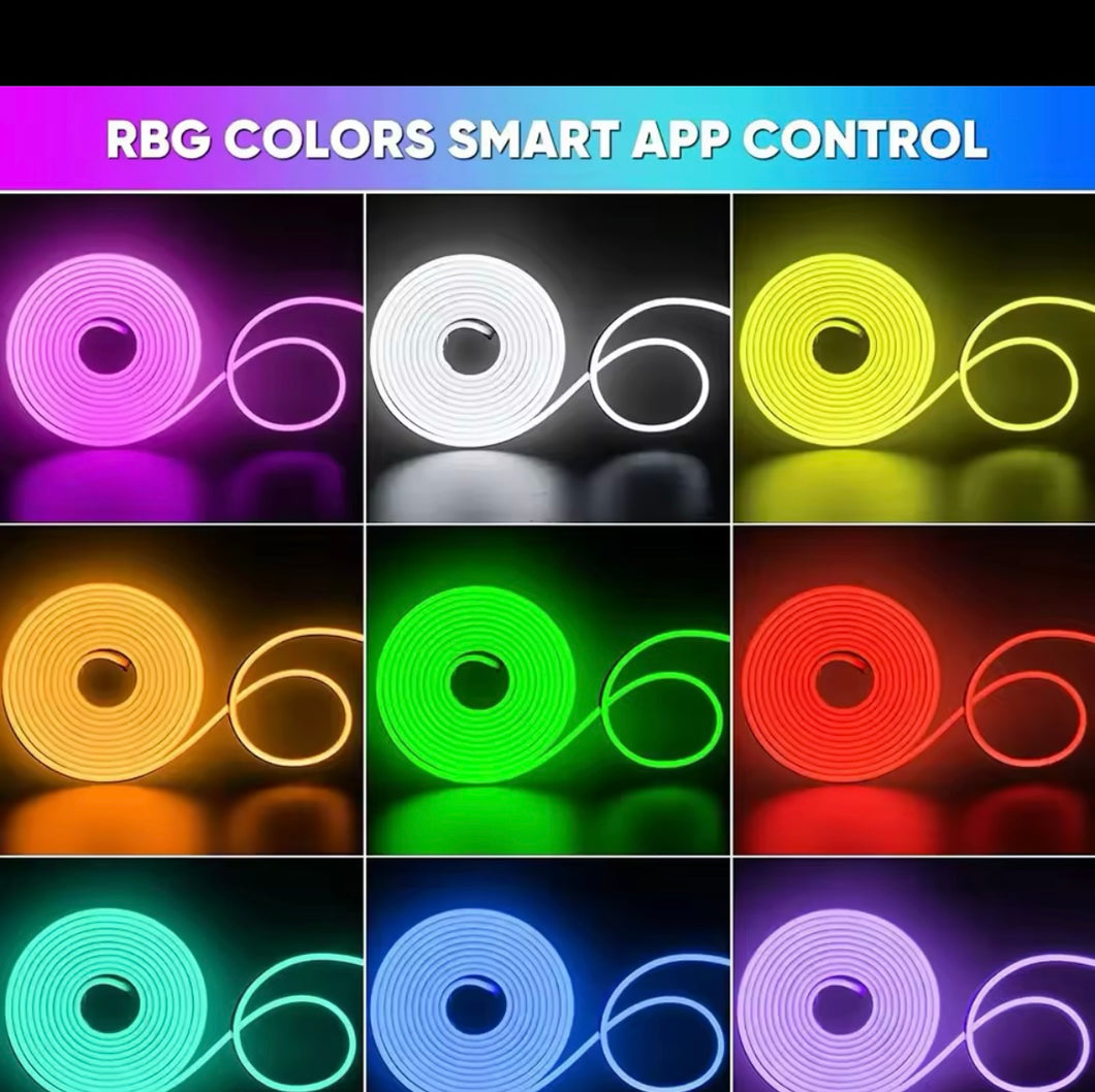 Tira de luces LED de neón RGB, cinta Flexible impermeable, regulable 5 metros
