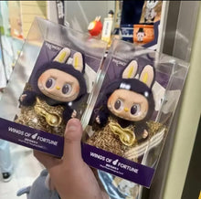 Cargar imagen en el visor de la galería, Jueguete de Labubu especial caja vestimenta
