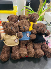 Cargar imagen en el visor de la galería, Peluche de oso 30 cm se manda surtido
