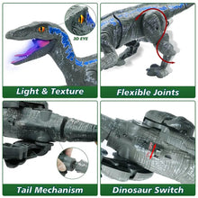 Cargar imagen en el visor de la galería, Dinosaurio de juguete a Control remoto para niños, juguete de simulación de dinosaurio MOD Y333-35

