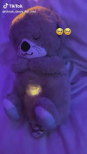 Cargar y reproducir el video en el visor de la galería, Juguete nutria respiratoria  peluche de nutria marina Kawaii, animales de peluche suaves, muñecas de nutria de colores, muñeca de apaciguar para bebés MOD ZE-2835
