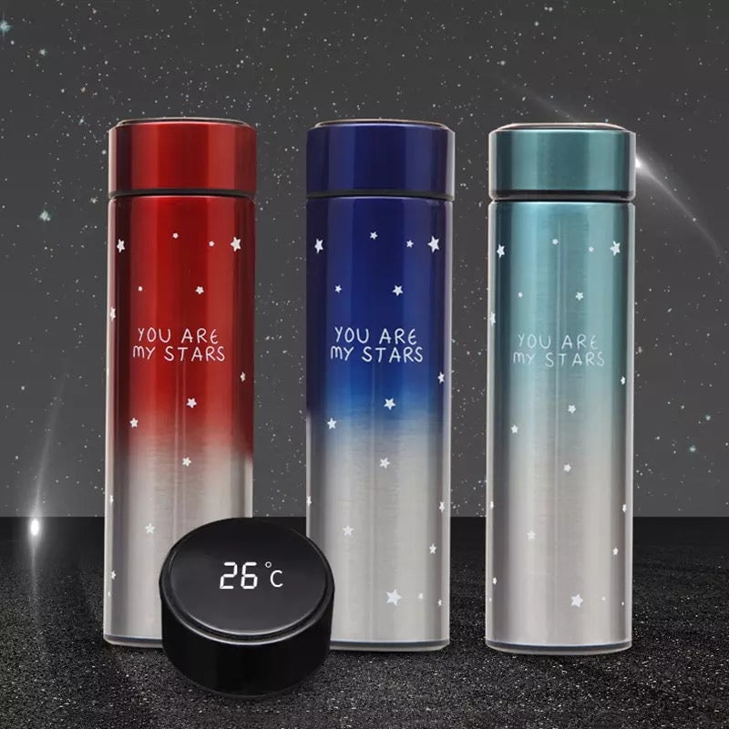Termo de agua potable con pantalla digital , taza de agua de acero inoxidable MOD ZH-3233
