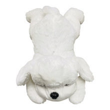 Cargar imagen en el visor de la galería, Perro Peluche luminoso colores 40 cm colorido con luz LED para niños, muñecos con relleno de animales con luz LED, diseño de perro disponible, almohada de juguete, cojín para niños, perfecto para decoración de habitación infantil MOD 40CM
