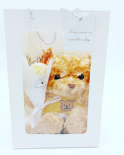 Cargar imagen en el visor de la galería, Caja de regalo de oso de peluche pequeño, Ragdoll muñeco de peluche, regalo para el Día de San Valentín MOD SA-192
