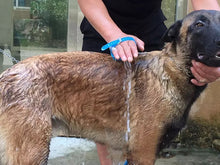 Cargar imagen en el visor de la galería, Manguera de Baño de mascotas, herramientas de belleza para limpieza de perros C21-36
